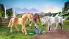 Playmobil - Horse Set & accessories